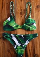 Swimming Suit