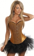 Shining Corset